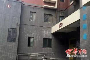 高陵一家三口照片,一家三口幸福瞬间定格