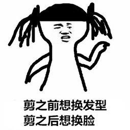 剪头发了表情包,趣味表情包带你领略发型新潮流